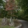 Fort Loudoun State Park