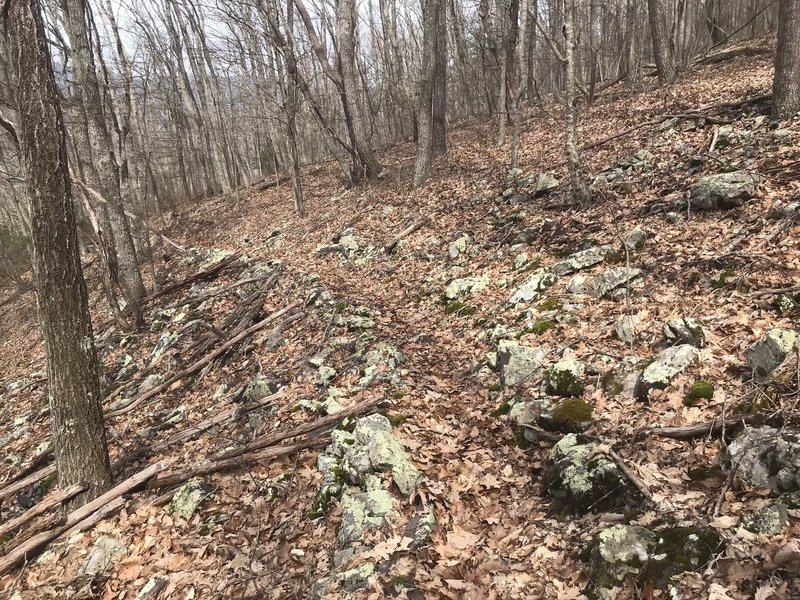 The condition of the trail on the western slope of Walker Mountain is much better than what is found on the eastern slope.