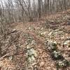 The condition of the trail on the western slope of Walker Mountain is much better than what is found on the eastern slope.