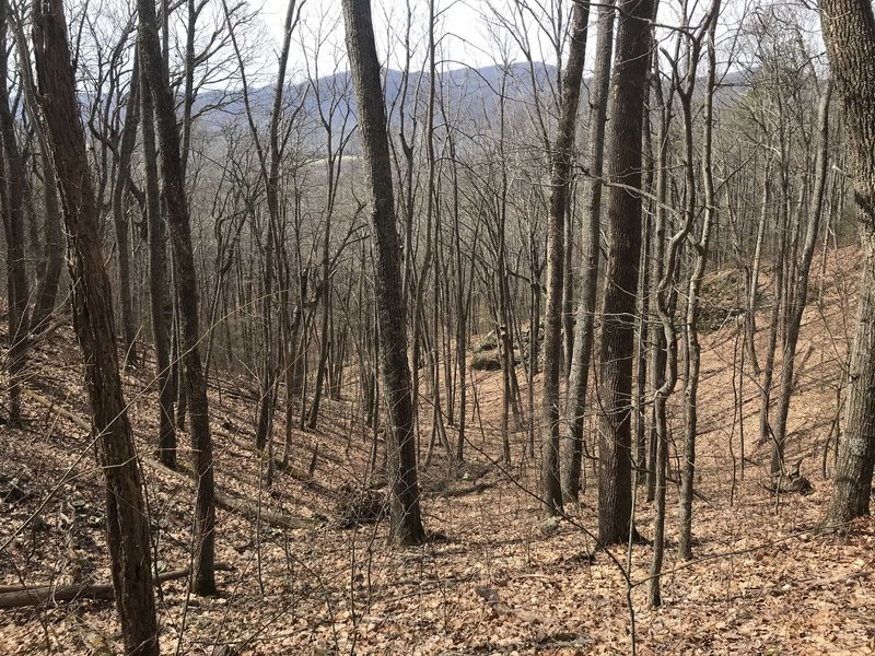 Winter view looking wet from western slope of Walker Mountain.