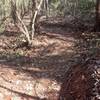 New singletrack keyhole Trail