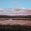 Just before sunrise, looking west from Teller Farm Trail between Valmont and the bridge to the East Boulder Trail.