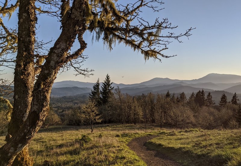 View of Coast Range from downhill segment of Throop Loop.