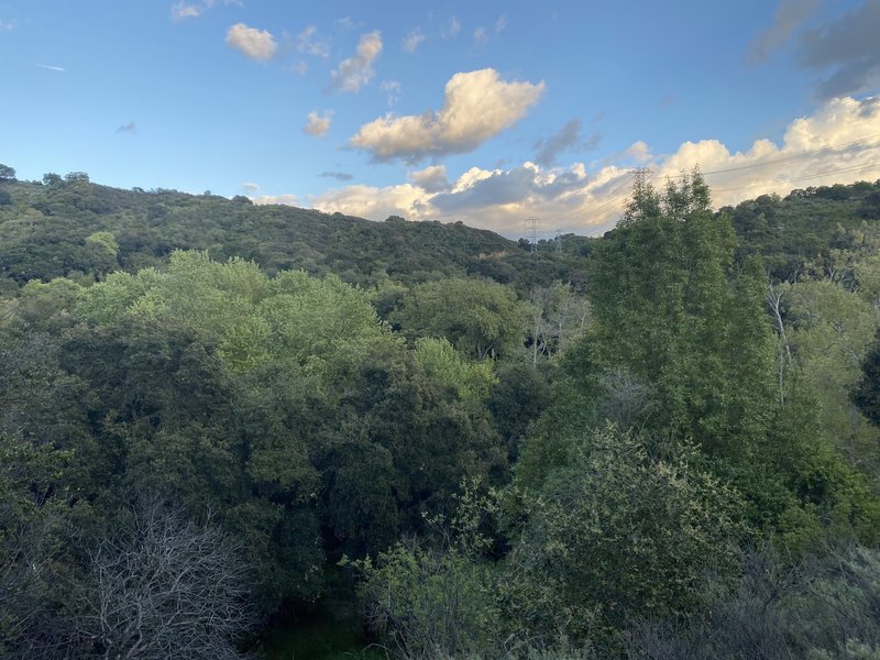 Views of the area between Stevens Creek County Park and Fremont Older Open Space.