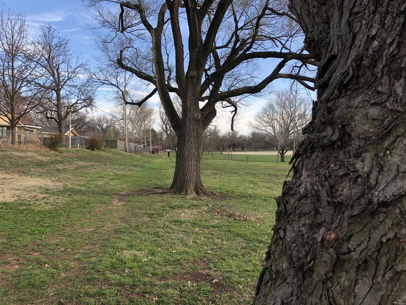 The trail along the East side of the park is semi-defined; it depends on how many kids are running cross country.