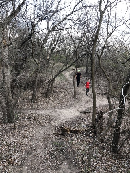 Main trail through the park