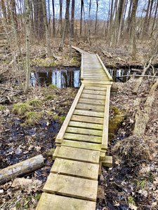One of several small bridges.