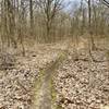 Shearer Rd Trail in late March.