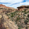 A side canyon of Lost Canyon