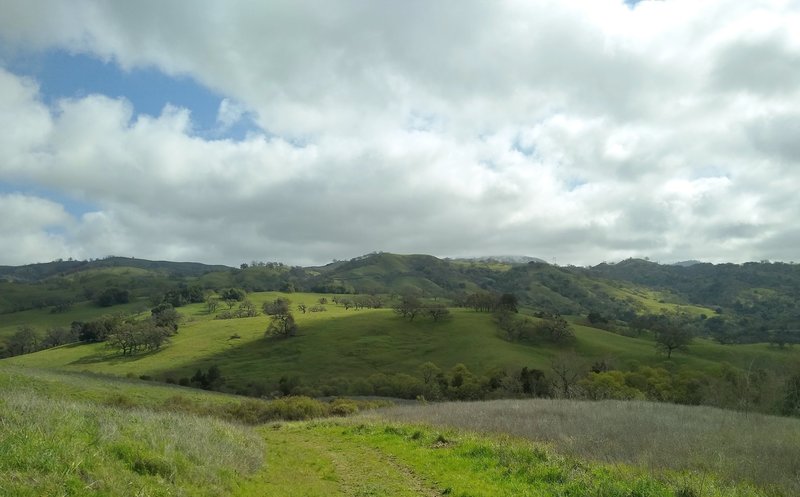 Hills of the Diablo Range to the northeast of Snell Trail. San Felipe Creek is in the valley ahead, and Mt Hamilton, 4,265 ft. center right with snow on it, is hidden in clouds.