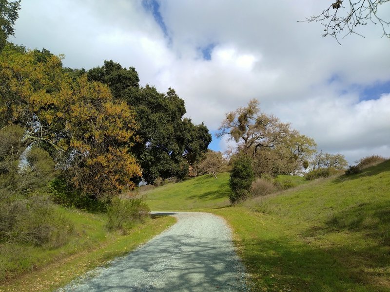 Oak trees dot the grass hills of Joseph D. Grant County Park near two group camps.