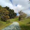 Oak trees dot the grass hills of Joseph D. Grant County Park near two group camps.