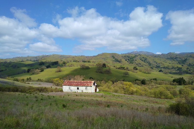 Snell Barn in the Diablo Range hills of Joseph D. Grant County Park. Mt. Hamilton, 4,265 ft., is in the distance toward the right. Lick Observatory can be seen at the top of Mt. Hamilton.