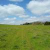 The large grassy meadow of Joseph D. Grant County Park, where Dutch Flat Trail ends.