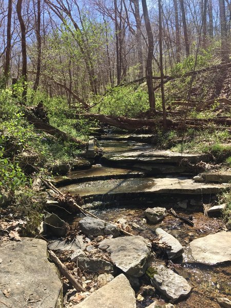 Blowing Springs Loop - low ride creek