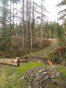Start of the gravel road / trail about 0.55 miles from the gate (along the 2300 road). You can cross the log bridge.