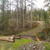 Start of the gravel road / trail about 0.55 miles from the gate (along the 2300 road). You can cross the log bridge.