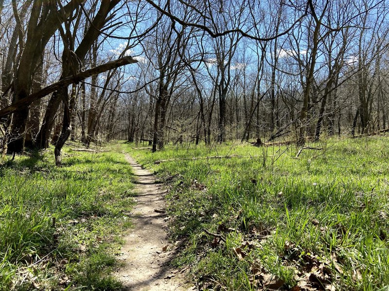 Soft singletrack along the creek.