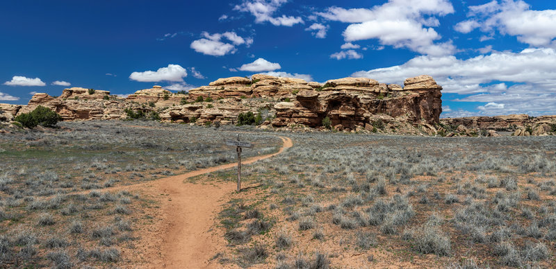 Junction of Cyclone Canyon Trail and Confluence Overlook Trail