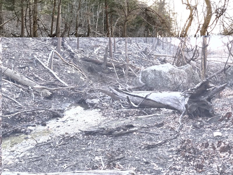 This lake was up 30' higher than this picture in May of 2019. Here's remnants of that flooding. Do not hike this trail when the lake is up.
