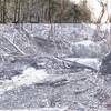 This lake was up 30' higher than this picture in May of 2019. Here's remnants of that flooding. Do not hike this trail when the lake is up.