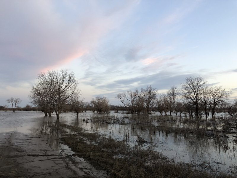 This trail was a road at one point, but when the lake is about five feet above normal, it's lost.