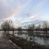 This trail was a road at one point, but when the lake is about five feet above normal, it's lost.