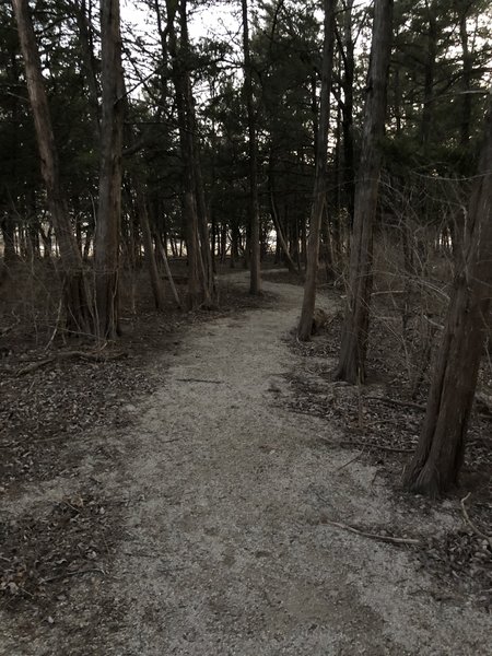 Chipped limestone path