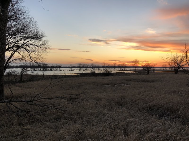 There's a lot of wildlife in this area, probably cause people can't drive down this road; it's closed with a gate and most people won't be interested in hiking down a road covered by the lake.