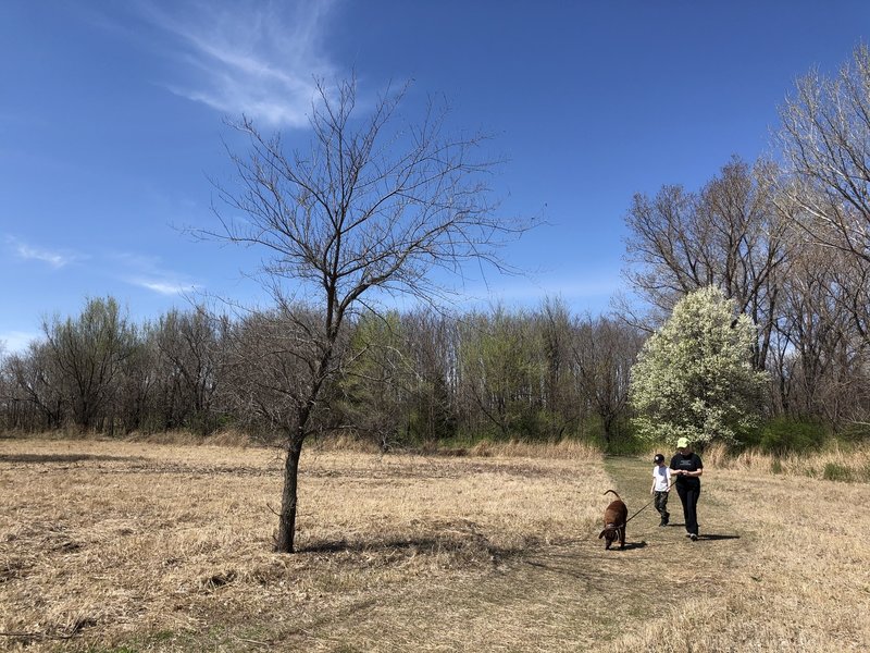 Last time I hiked this park in 2015, the grass had not been mowed, so when they don't brushhog it, there's at least waist high little bluestem grass everywhere.