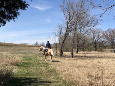This equestrian rode over to the circular trails and practiced galloping around them