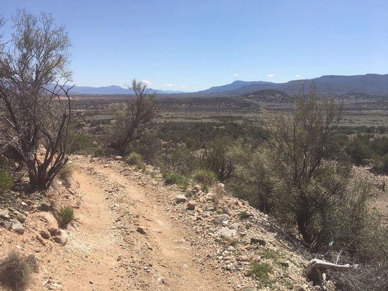 Photo taken about half way down the trail, facing South.