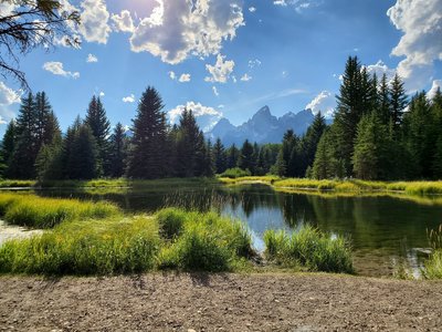 Schwabacher Landing