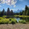 Schwabacher Landing