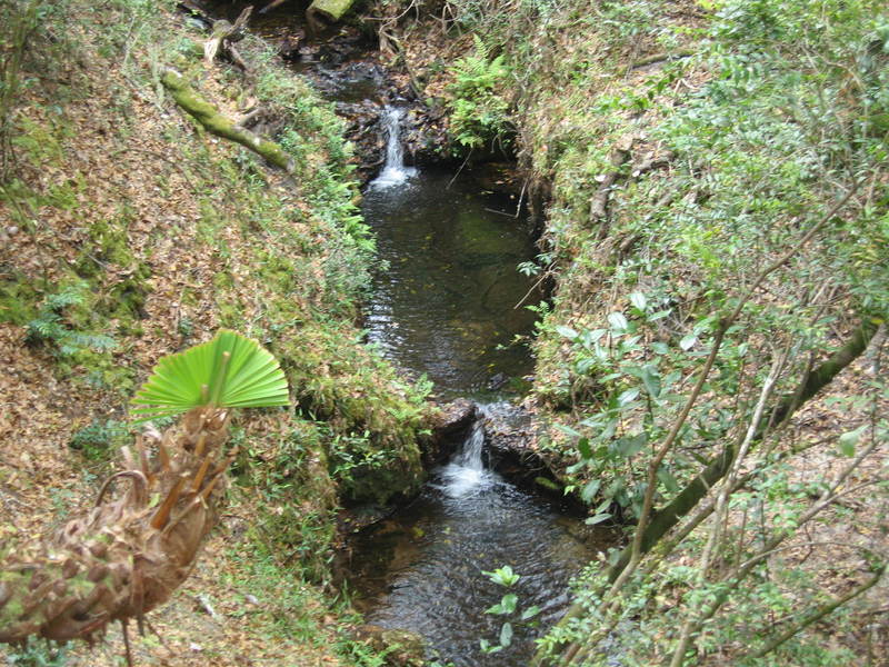 Sound of a waterfall is so unusual around here!