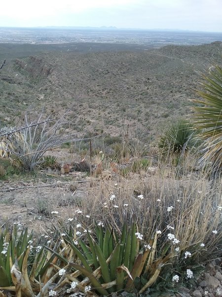 Looking west from the trail