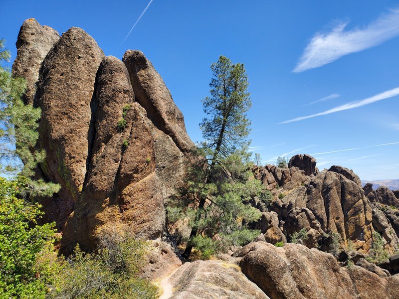 High Peaks Trail