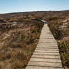 Channel Islands National Park - Anacapa Island