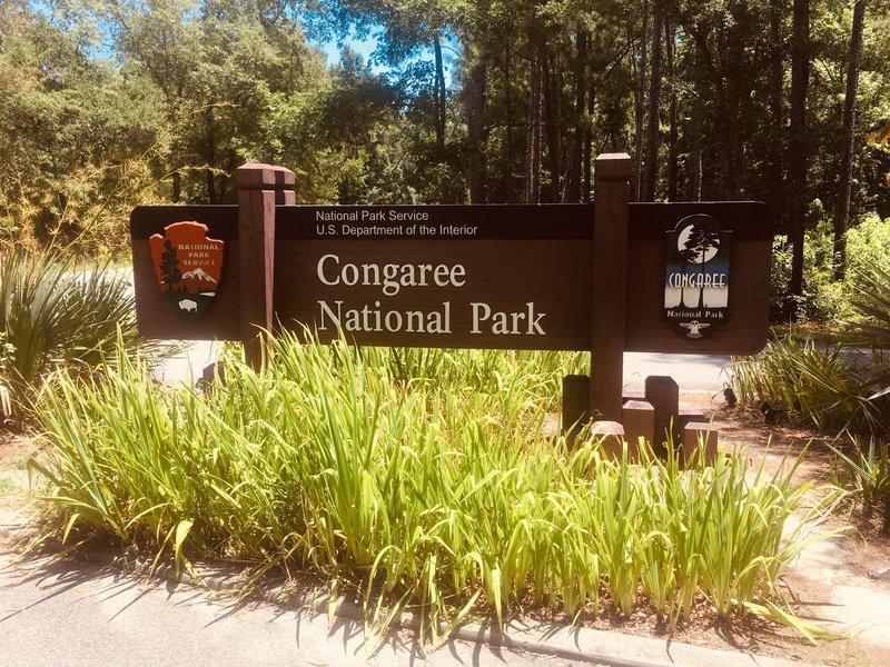 Congaree National Park