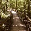 Congaree National Park