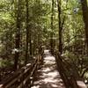 Congaree National Park