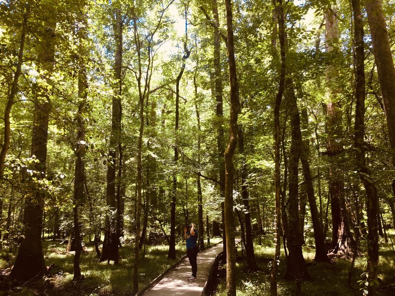 Congaree National Park