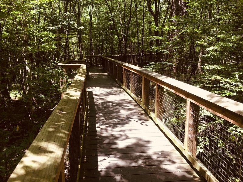 Congaree National Park