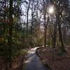 Congaree National Park, South Carolina, USA