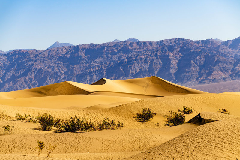 Mesquite Flats Sand Dunes