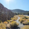 Emigrant Canyon and Wildrose Canyon Roads