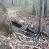 Just upstream from where the Lower Ted Lake Trail first intersects the creek is a small make-shift bridge