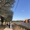 Path between the Rec center and Bryant Elementary school