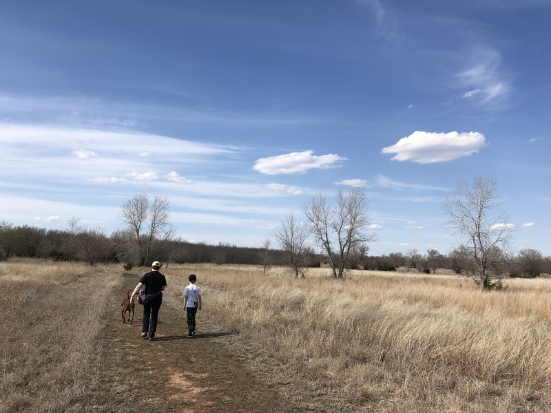 Little bluestem prairie grass everywhere