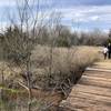 This bridge goes off to an area of the trail that holds water pretty bad. We have waterproof boots on and decided to turn around.